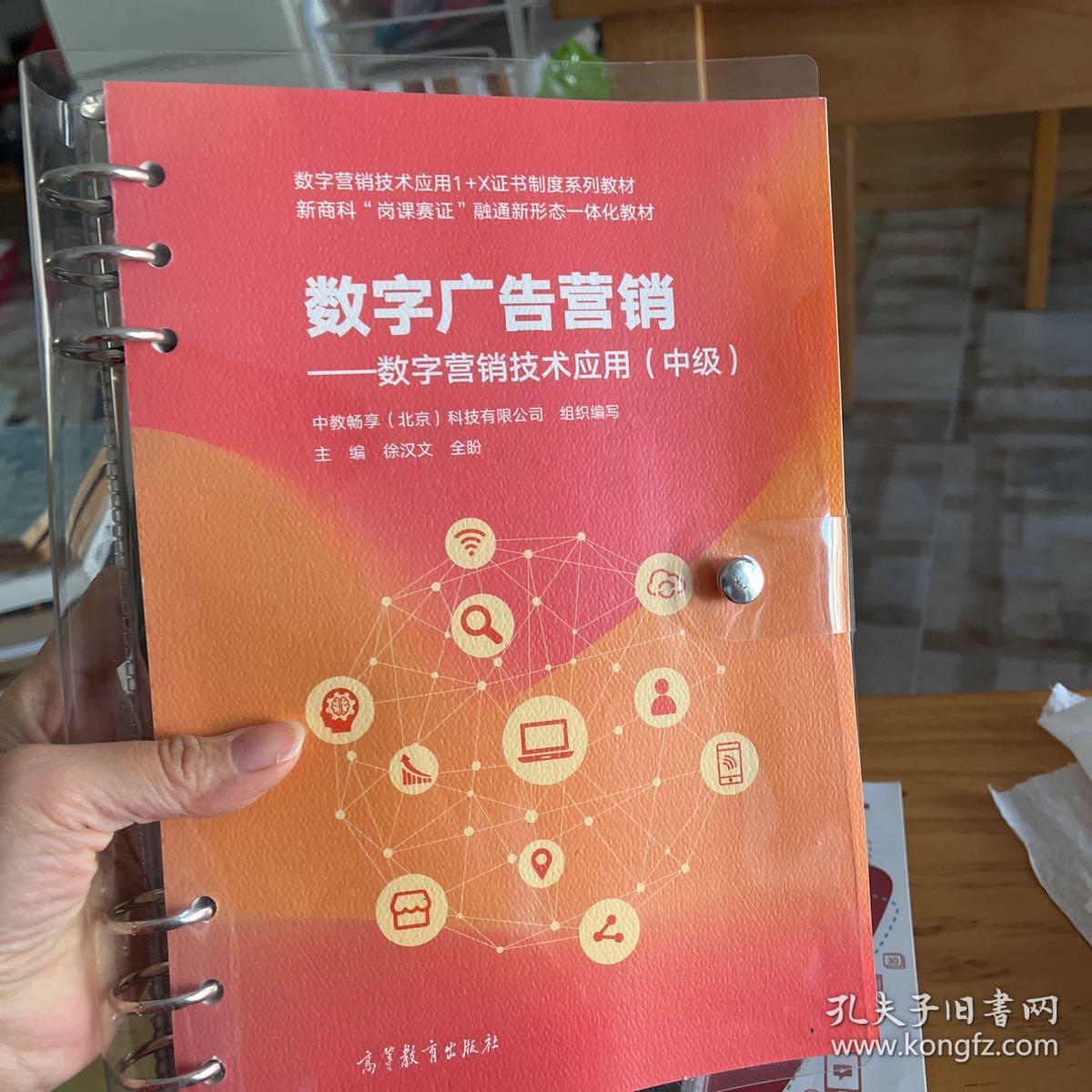 數(shù)字廣告制作 數(shù)字營銷技術(shù)應(yīng)用（中級）核心指南